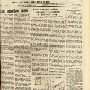 img394-min img394-min